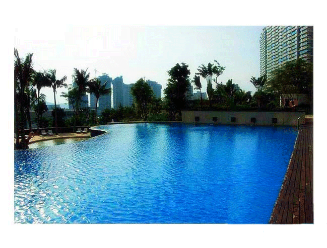 实景图