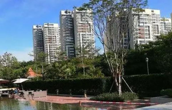 周边环境